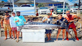 Jun Ken Po / Musubi Shared