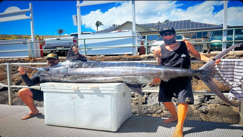 Jun Ken Po / Musubi Shared