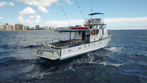 60' - Sashimi II Private