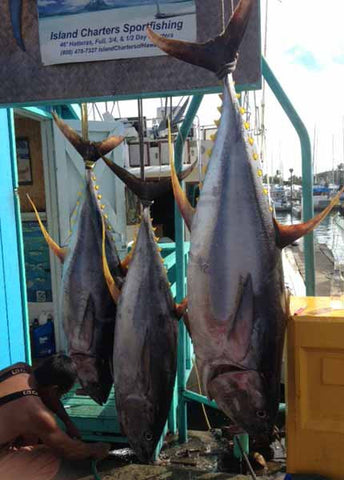 big ahi on mazel tov hawaii deep sea fishing