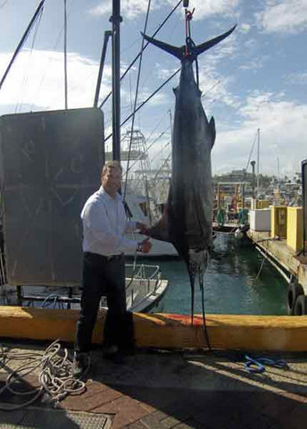 Nice Marlin caught on Whipsaw with Hawaii Deep Sea Fishing