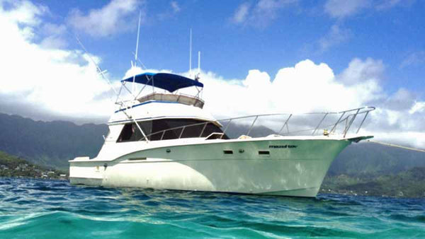 mazelnewwebcover_69d12517-7ffc