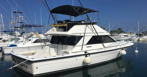 Ku'uipo sportfishing