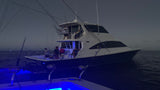 62'  - Reel Addiction III