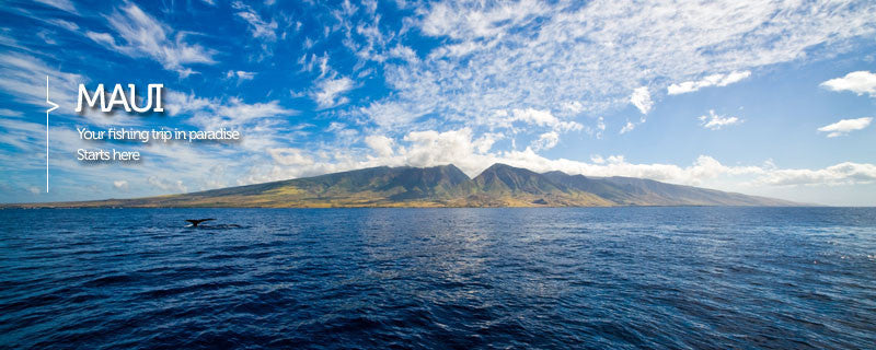 Maui Deep Sea Fishing