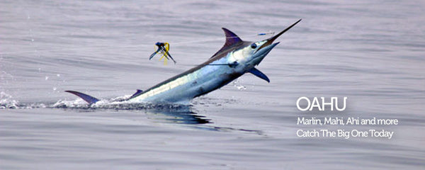 Oahu Deep Sea Fishing