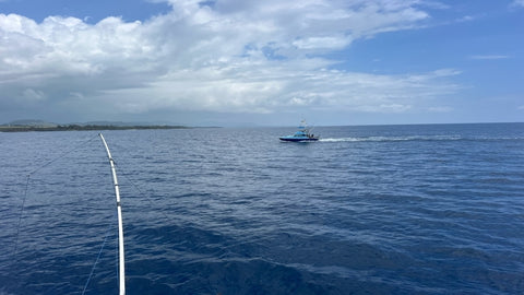 35 '  - Kahuna