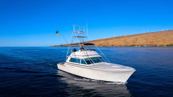 Maalaea Harbor