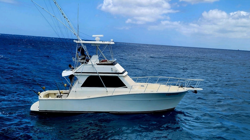 deepsea fishing reel 48' - Reel Life Private