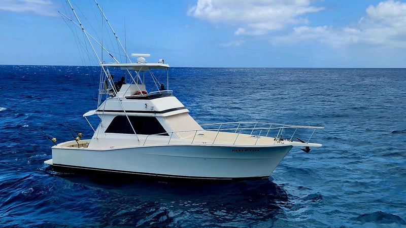 best boat reel sea fishing 48' - Reel Life Private