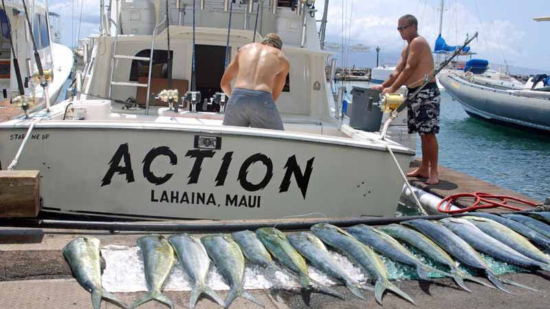 34' - Action - Hawaii Deep Sea Fishing