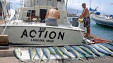 Action Fishing With Hawaii Deep Sea Fishing